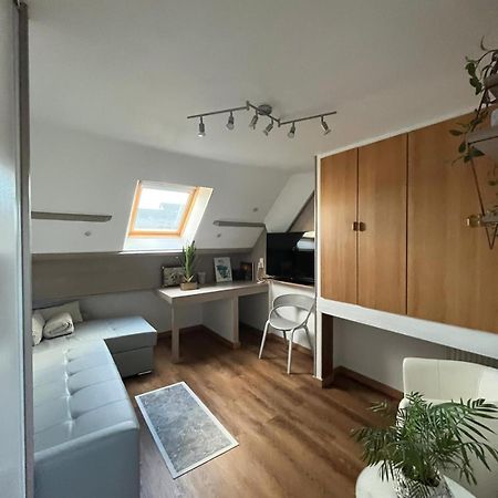Appartement Type Loft Avec Terrasse 瑟堡 外观 照片