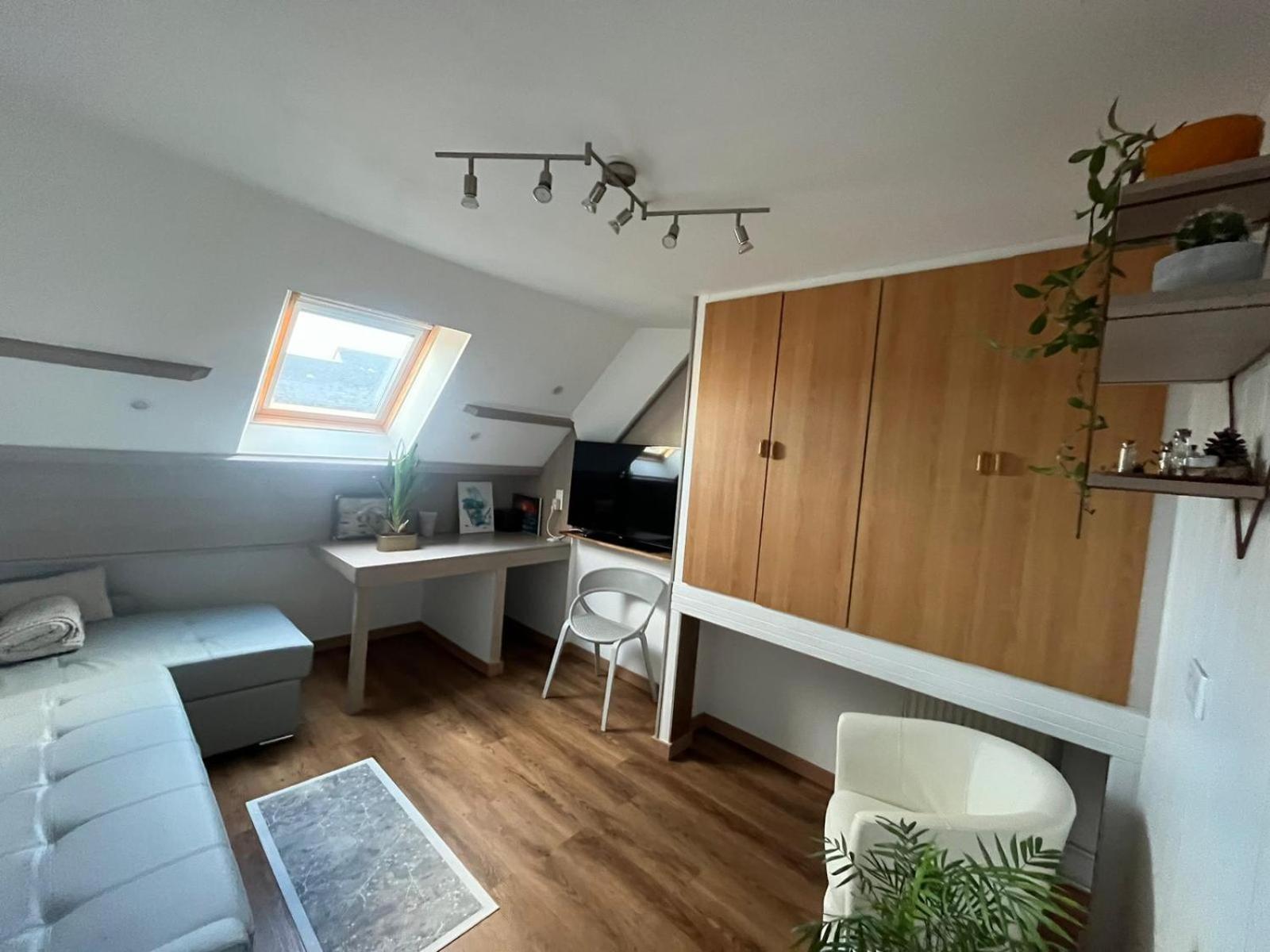 Appartement Type Loft Avec Terrasse 瑟堡 外观 照片