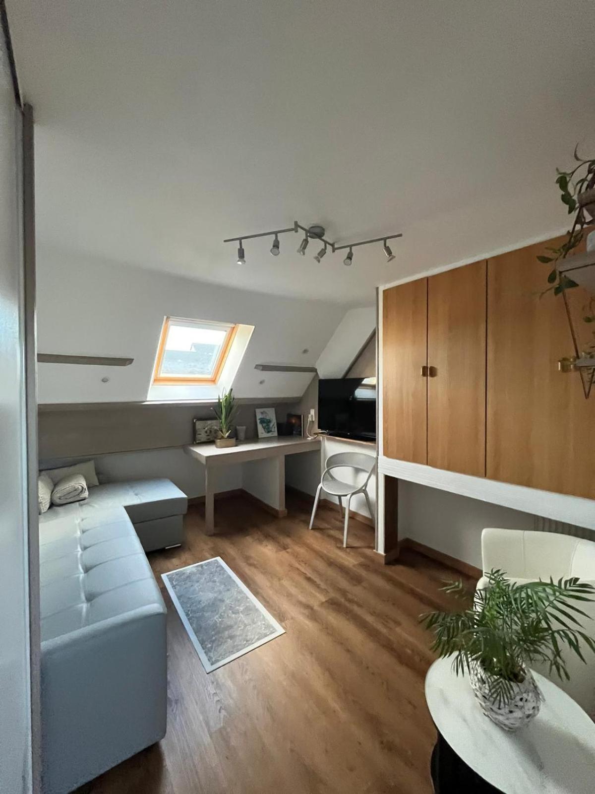 Appartement Type Loft Avec Terrasse 瑟堡 外观 照片